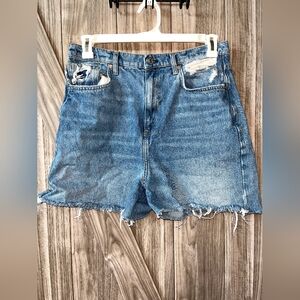 We the Free/ Free People  High-waisted, super-distressed denim shorts